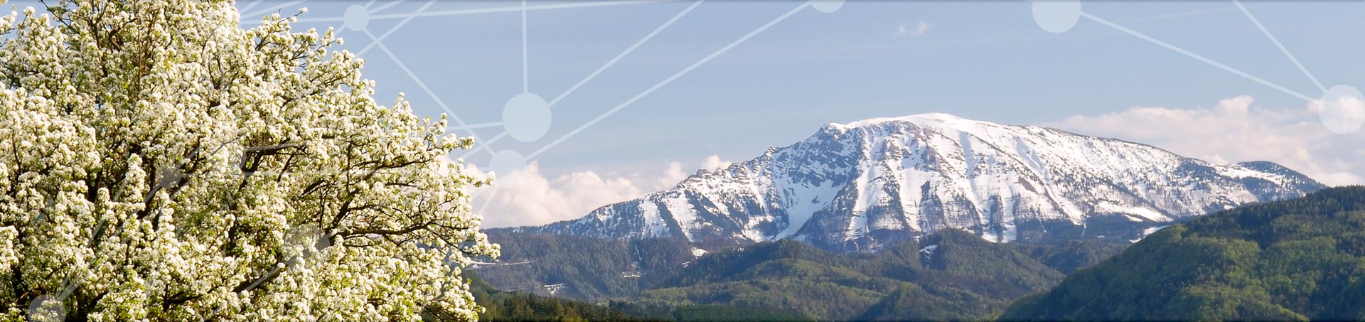 Slide background